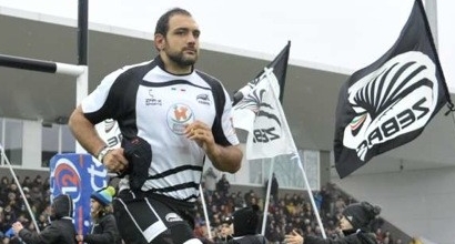 Foto Zebre Foto Zebre