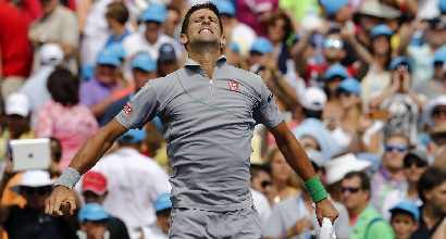 Djokovic, Ansa Djokovic, Ansa