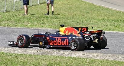 F1, Ricciardo contro Verstappen: "Si dimostra molto giovane..."