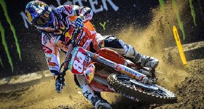 Herlings Herlings