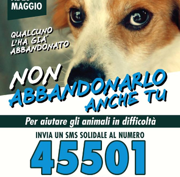 Animali, l'Sms che salva la vita