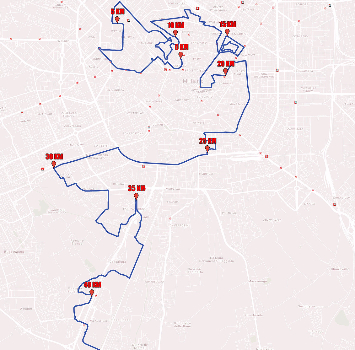 Wings for Life World Run: di corsa attraverso Milano