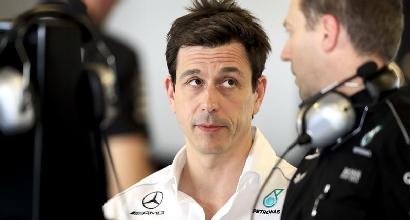 Wolff, Ipp