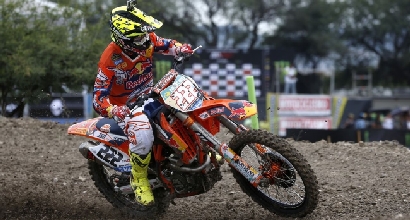 Cairoli Cairoli