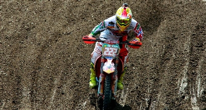 Cairoli, Ipp Cairoli, Ipp
