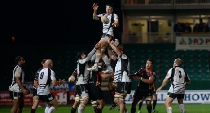 Zebre in azione, foto da Ufficio Stampa Zebre in azione, foto da Ufficio Stampa