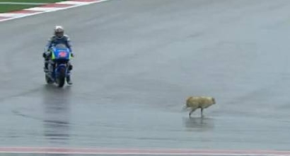 MotoGP, Rossi: "Soddisfatto, punto al podio" MotoGP, Rossi: "Soddisfatto, punto al podio"