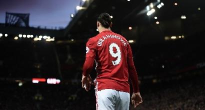 Ibrahimovic: "Io sono un leone, i miei compagni dei micetti"