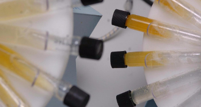 Doping, il Cio conferma la squalifica alla Federatletica russa. Ma c'è il lasciapassare