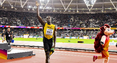 Bolt, Ipp