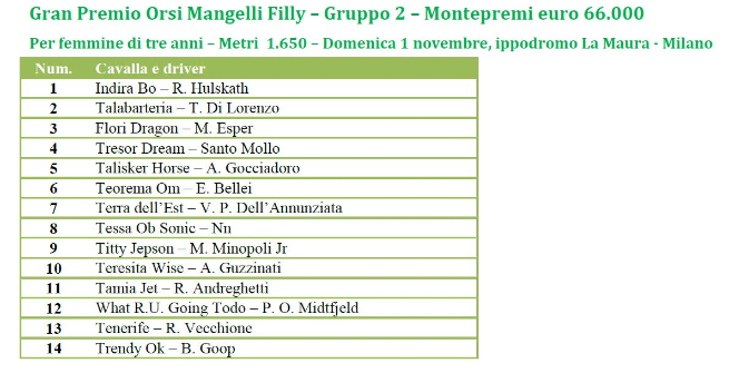 Gran Premio Orsi Mangelli: saranno sedici i trottatori al via