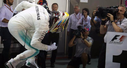 Hamilton, IPP