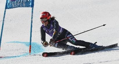 Brignone, Ansa Foto