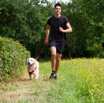 Arriva la Bob Martin Dog Run: corri con il tuo cane all'Idroscalo di Milano!