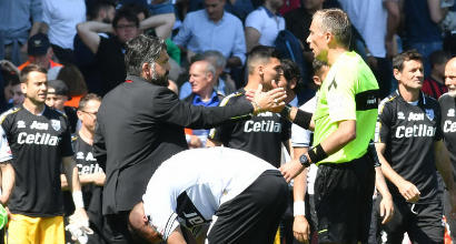 gattuso mazzoleni