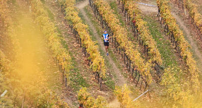 Tutto pronto per il Valtellina Wine Trail... nonostante il maltempo